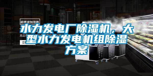 水力發(fā)電廠除濕機(jī)，大型水力發(fā)電機(jī)組除濕方案