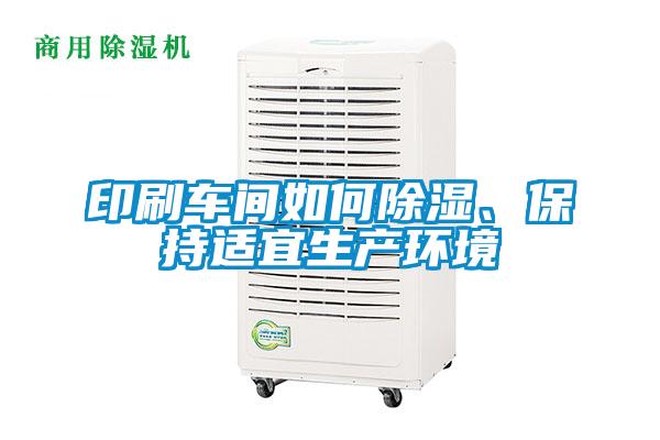 印刷車間如何除濕、保持適宜生產(chǎn)環(huán)境