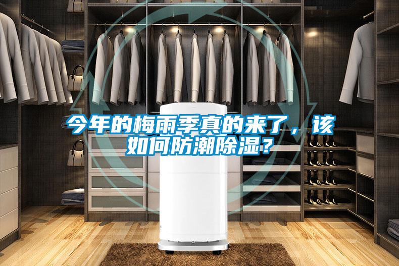 今年的梅雨季真的來了，該如何防潮除濕？
