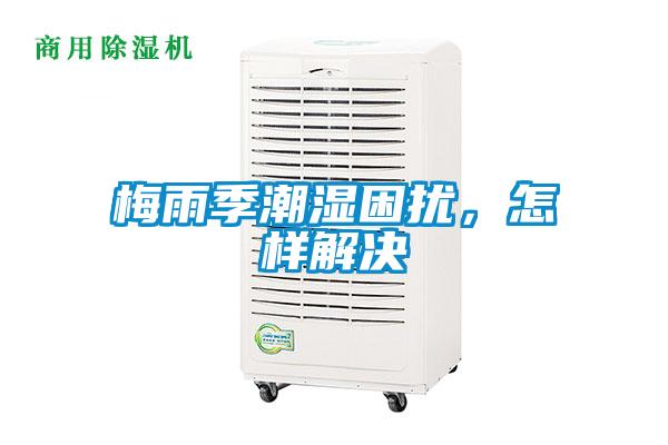 梅雨季潮濕困擾，怎樣解決