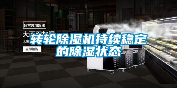 轉輪除濕機持續(xù)穩(wěn)定的除濕狀態(tài)