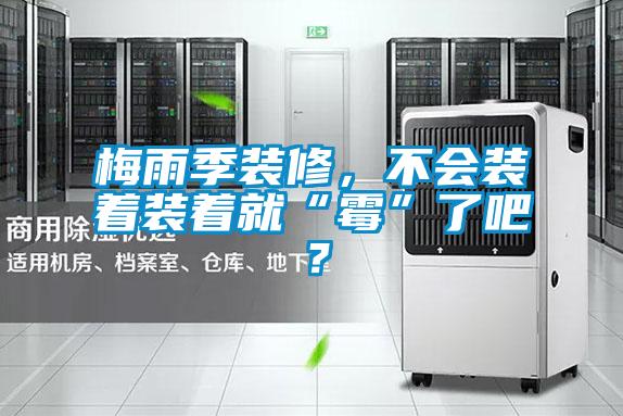 梅雨季裝修，不會裝著裝著就“霉”了吧？