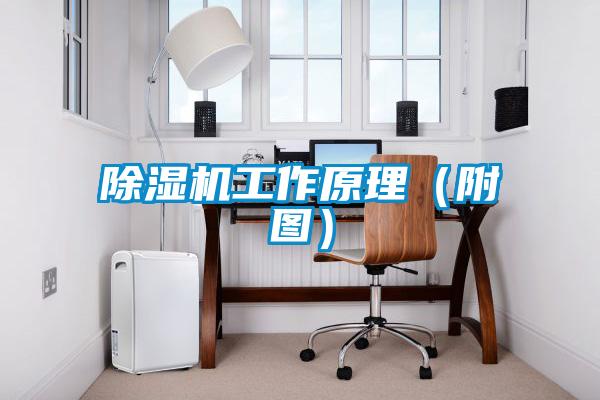 除濕機(jī)工作原理（附圖）