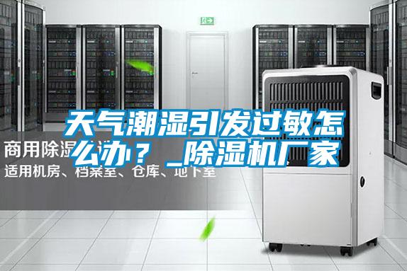 天氣潮濕引發(fā)過敏怎么辦？_除濕機廠家