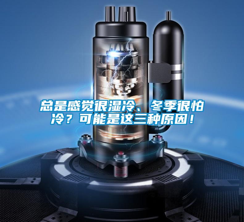 總是感覺很濕冷、冬季很怕冷？可能是這三種原因！