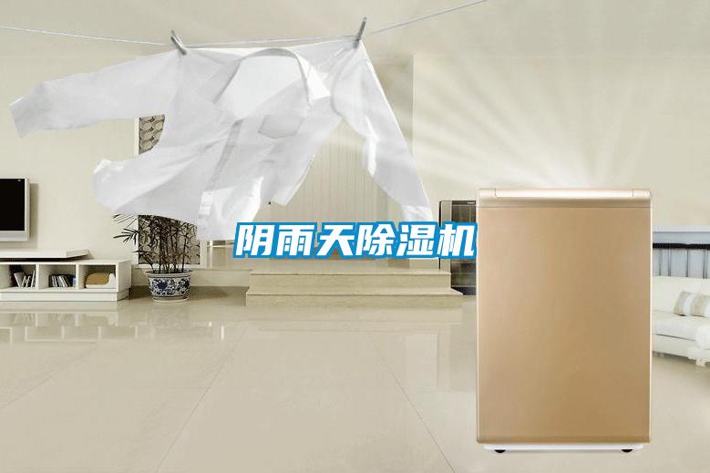 陰雨天除濕機