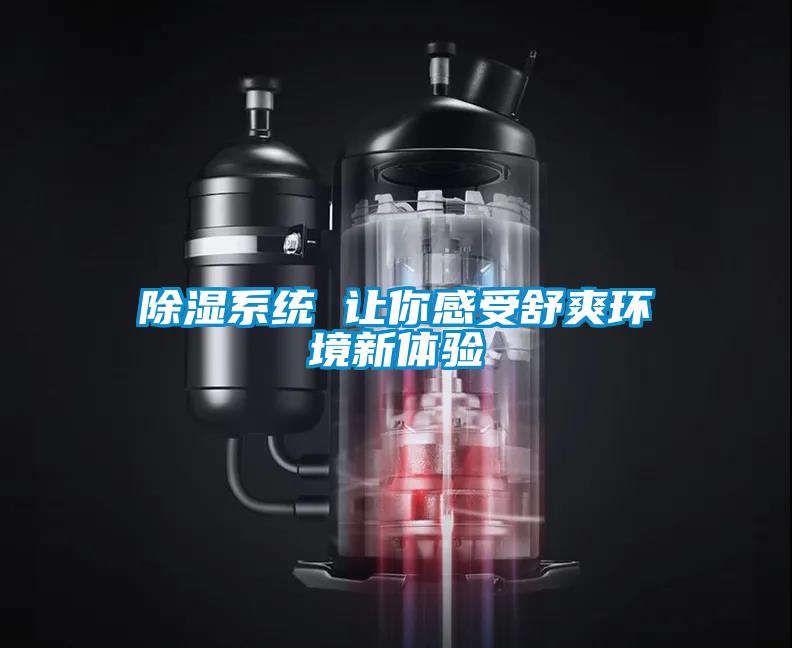 除濕系統(tǒng) 讓你感受舒爽環(huán)境新體驗(yàn)