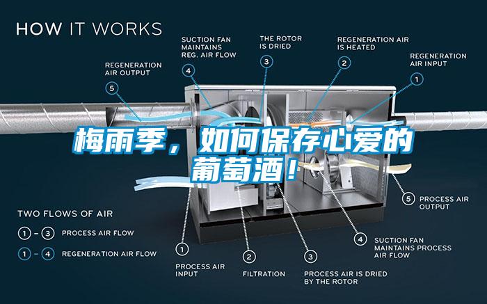梅雨季，如何保存心愛的葡萄酒！