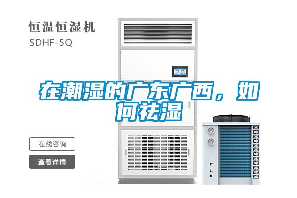 在潮濕的廣東廣西，如何祛濕