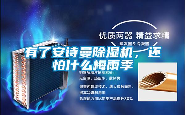 有了安詩曼除濕機，還怕什么梅雨季