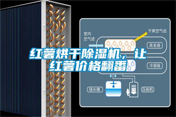 紅薯烘干除濕機(jī)，讓紅薯價(jià)格翻番