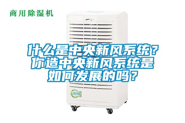 什么是中央新風系統(tǒng)？你造中央新風系統(tǒng)是如何發(fā)展的嗎？