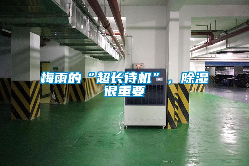 梅雨的“超長待機(jī)”，除濕很重要