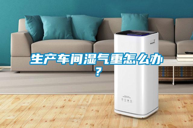 生產(chǎn)車間濕氣重怎么辦？