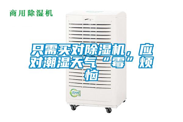 只需買對除濕機(jī)，應(yīng)對潮濕天氣“霉”煩惱