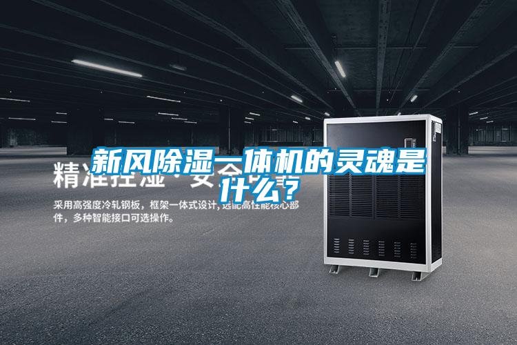 新風(fēng)除濕一體機的靈魂是什么？