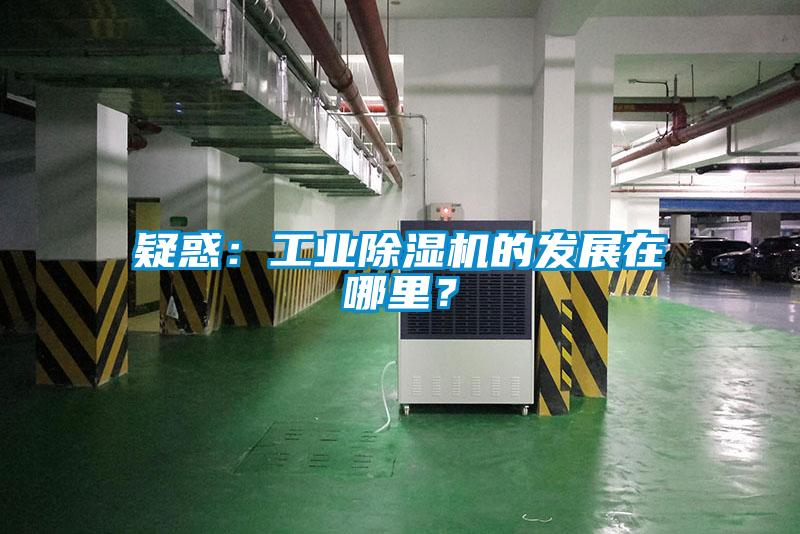疑惑：工業(yè)除濕機(jī)的發(fā)展在哪里？