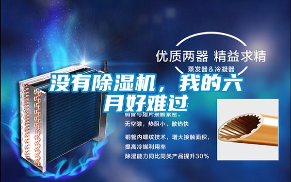 沒有除濕機(jī)，我的六月好難過