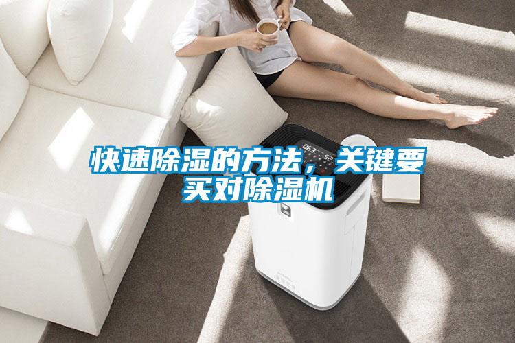 快速除濕的方法，關鍵要買對除濕機