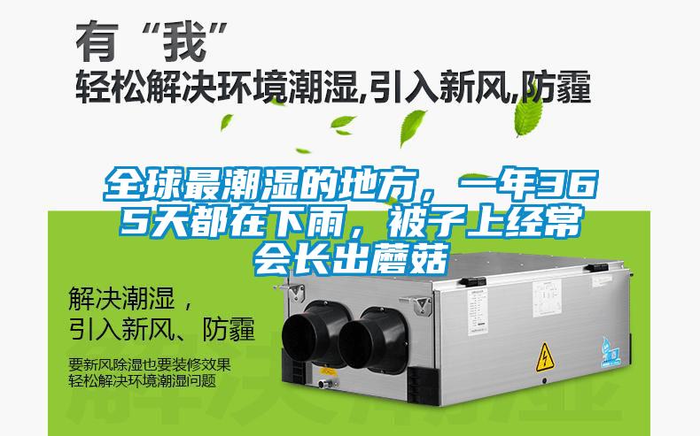 全球最潮濕的地方，一年365天都在下雨，被子上經(jīng)常會長出蘑菇