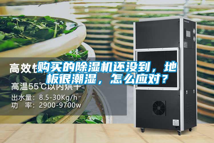 購買的除濕機還沒到，地板很潮濕，怎么應(yīng)對？