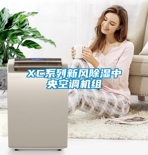 XC系列新風(fēng)除濕中央空調(diào)機組