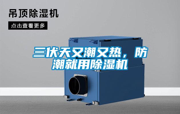三伏天又潮又熱，防潮就用除濕機(jī)