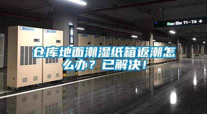 倉庫地面潮濕紙箱返潮怎么辦？已解決！