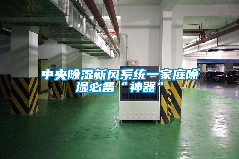 中央除濕新風系統(tǒng)一家庭除濕必備“神器”