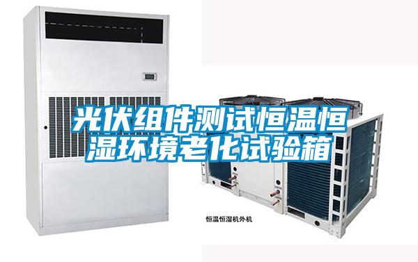 光伏組件測(cè)試恒溫恒濕環(huán)境老化試驗(yàn)箱