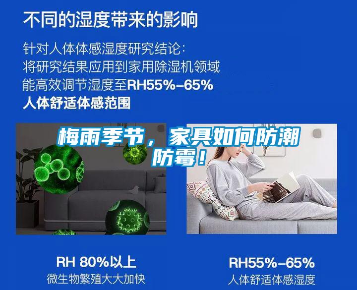 梅雨季節(jié)，家具如何防潮防霉！