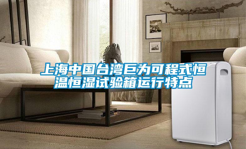 上海中國臺灣巨為可程式恒溫恒濕試驗(yàn)箱運(yùn)行特點(diǎn)
