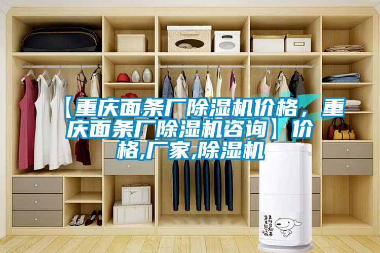 【重慶面條廠除濕機(jī)價格，重慶面條廠除濕機(jī)咨詢】價格,廠家,除濕機(jī)