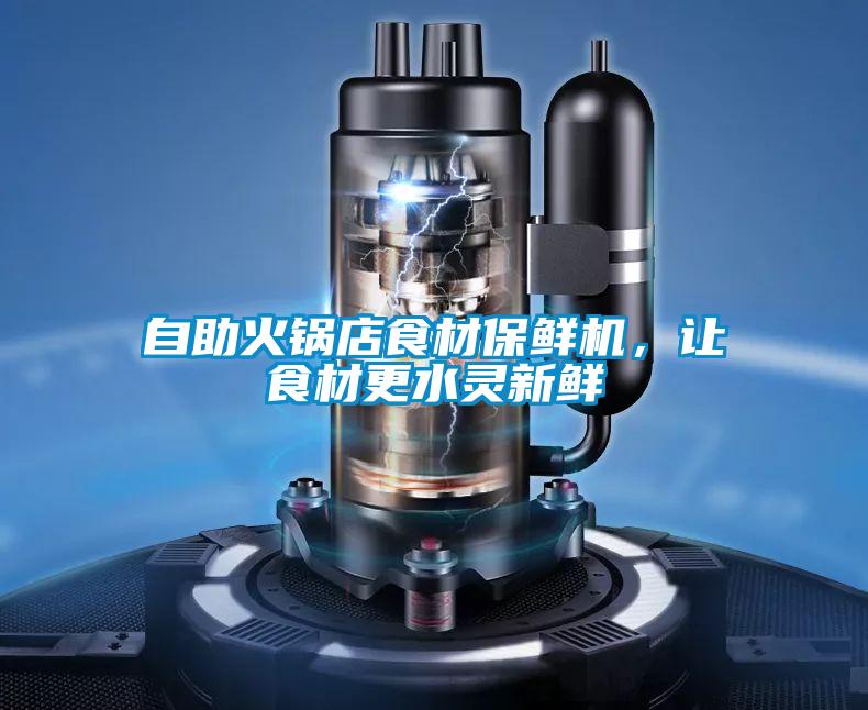 自助火鍋店食材保鮮機，讓食材更水靈新鮮
