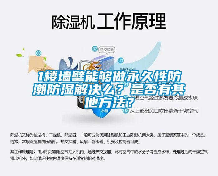1樓墻壁能夠做永久性防潮防濕解決么？是否有其他方法？