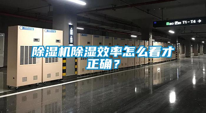 除濕機(jī)除濕效率怎么看才正確？