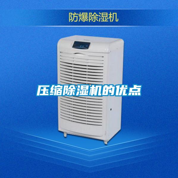 壓縮除濕機(jī)的優(yōu)點(diǎn)