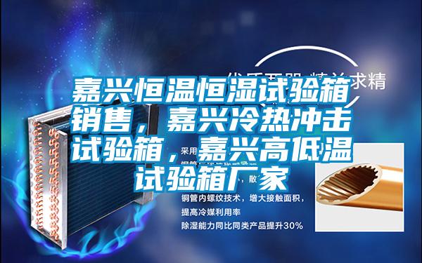 嘉興恒溫恒濕試驗(yàn)箱銷售，嘉興冷熱沖擊試驗(yàn)箱，嘉興高低溫試驗(yàn)箱廠家
