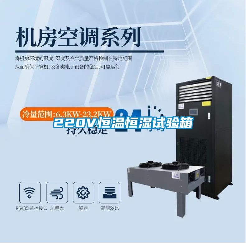 220V恒溫恒濕試驗(yàn)箱