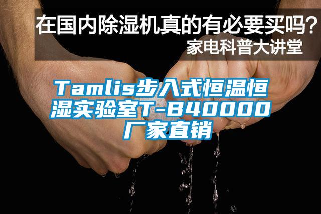 Tamlis步入式恒溫恒濕實(shí)驗(yàn)室T-B40000 廠家直銷