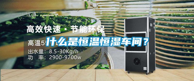 什么是恒溫恒濕車間？