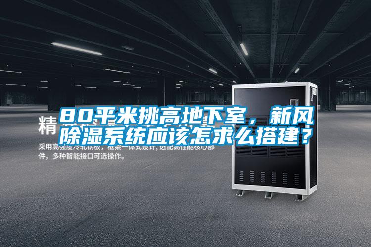 80平米挑高地下室，新風(fēng)除濕系統(tǒng)應(yīng)該怎求么搭建？