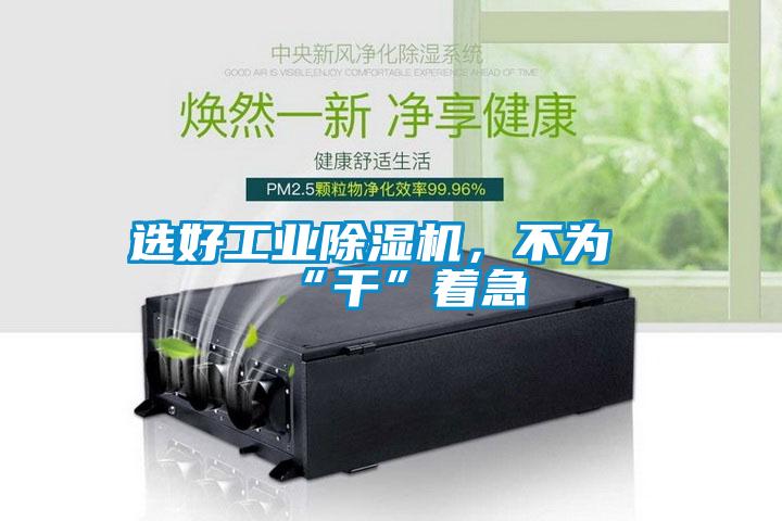 選好工業(yè)除濕機，不為“干”著急
