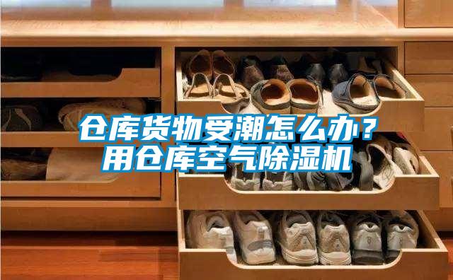 倉(cāng)庫(kù)貨物受潮怎么辦？用倉(cāng)庫(kù)空氣除濕機(jī)