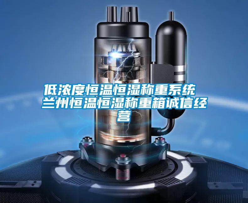 低濃度恒溫恒濕稱(chēng)重系統(tǒng) 蘭州恒溫恒濕稱(chēng)重箱誠(chéng)信經(jīng)營(yíng)