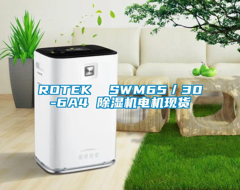 ROTEK  SWM65／30-6A4 除濕機電機現(xiàn)貨