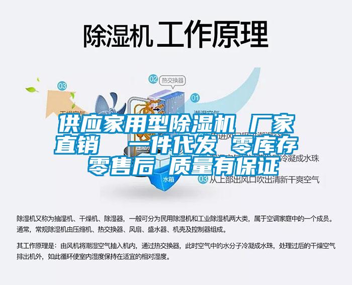 供應(yīng)家用型除濕機 廠家直銷  一件代發(fā) 零庫存 零售后 質(zhì)量有保證