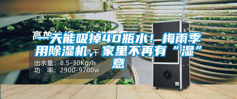 一天能吸掉40瓶水！梅雨季用除濕機(jī)，家里不再有“濕”意