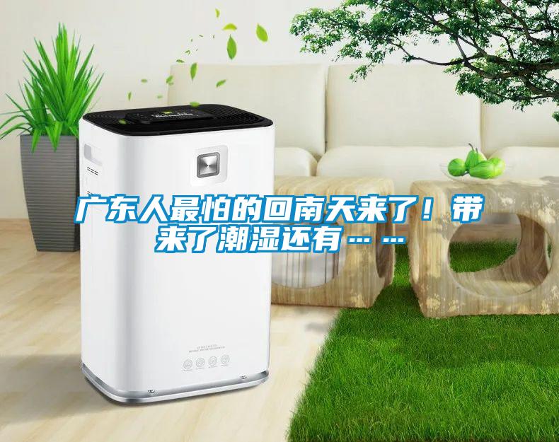 廣東人最怕的回南天來了！帶來了潮濕還有……