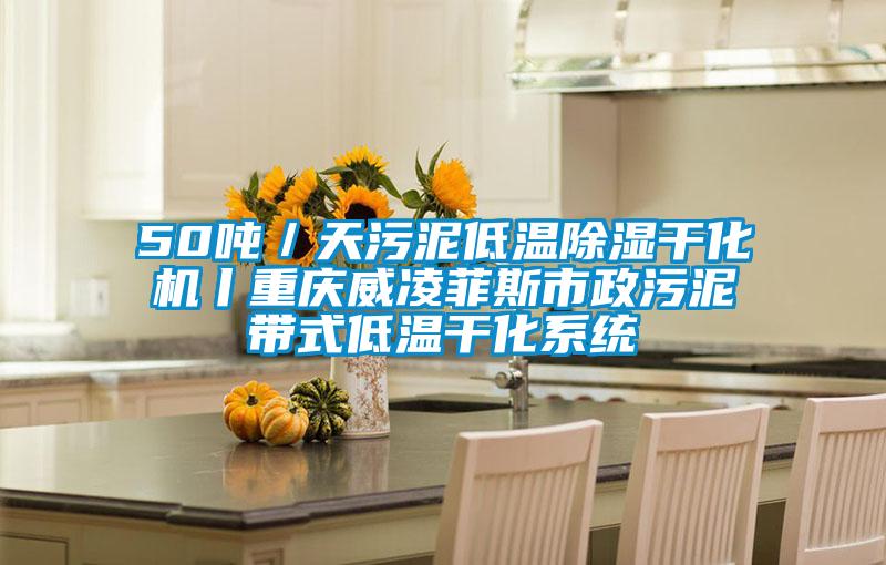 50噸／天污泥低溫除濕干化機(jī)丨重慶威凌菲斯市政污泥帶式低溫干化系統(tǒng)